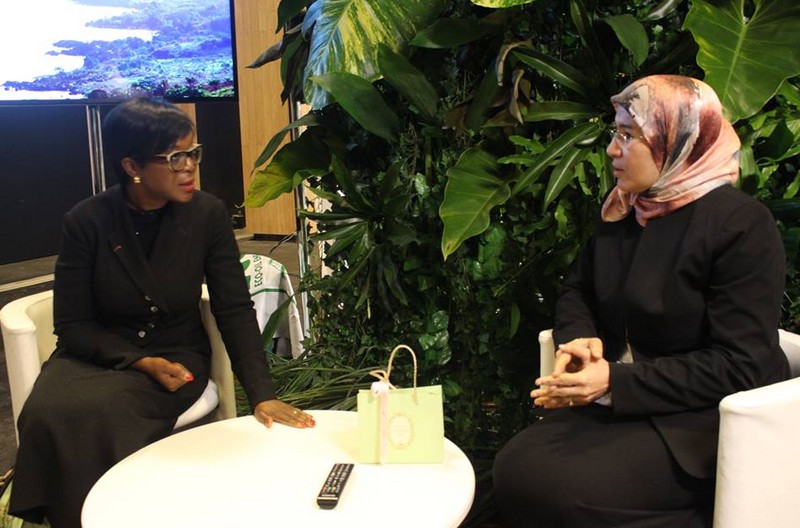 Arlette Soudan-Nonault du Congo et Nezha El Ouafi du Royaume du Maroc, deux ministres en charge de l'environnement à l'issue de la communication à Paris sur le Fonds Bleu pour le Bassin du Congo 