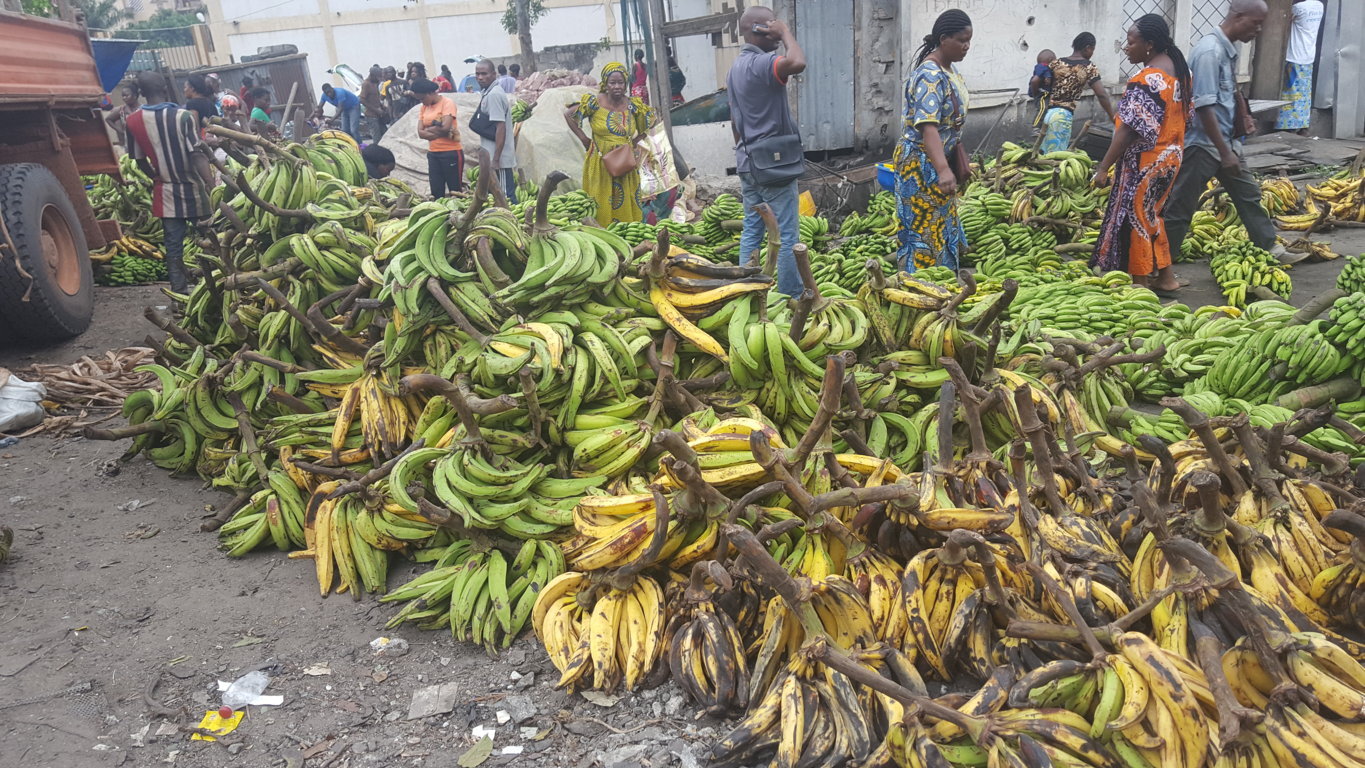 Marché la banane dépôt Mpila à Brazzaville