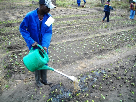 un agriculteur au Plateau des Batéké 