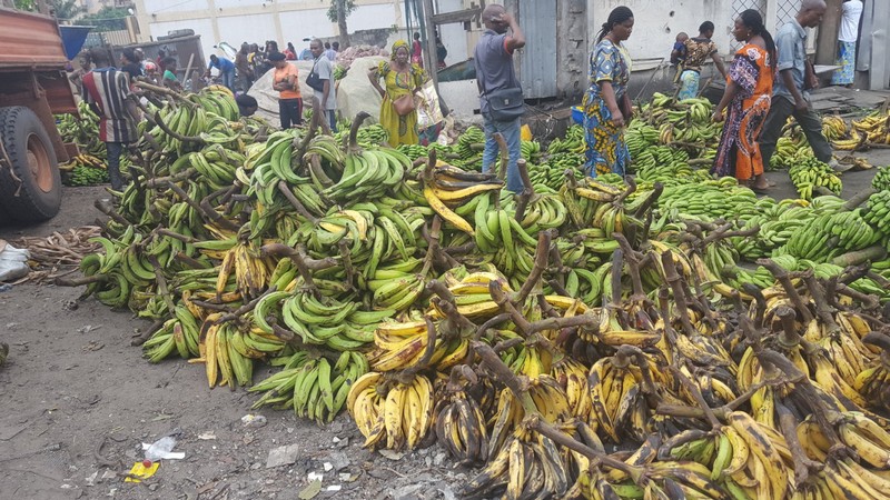 Marché de bananes à Mpila à Brazzaville au Congo