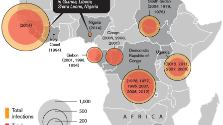 Pays d'Afrique déjà touchés